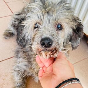 KOSMINA - reserviert MfTL vermittelt