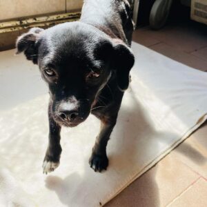 TELMA - reserviert KM vermittelt