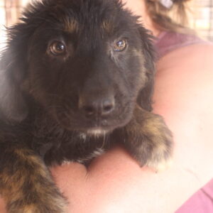 JAMPY - reserviert Manuela vermittelt