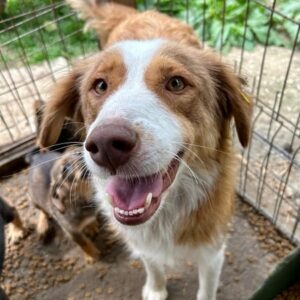 MOOVE - vermittelt Alexandra