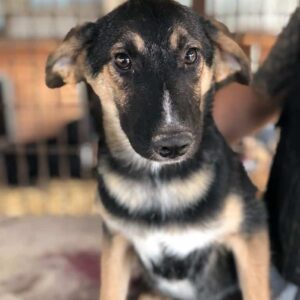 SEVEN - reserviert TH Burgdorf vermittelt