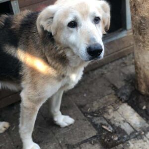 ADDO - RBB 12.12.2022