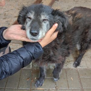 ALETTA - RBB 09/2022