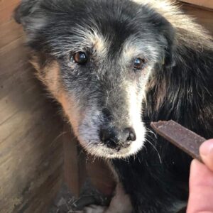 BABA - vermisst 12/22