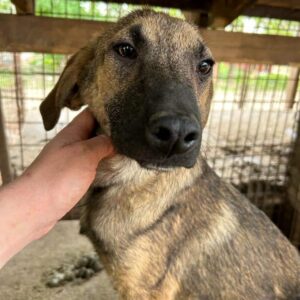 NARVIK - auf PDR PS im PLZ Bezirk 95 - vermittelt