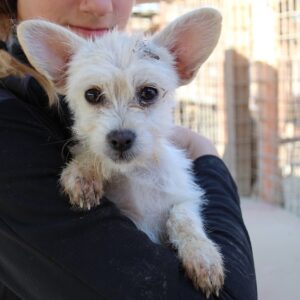 DRIFA - reserviert KM vermittelt