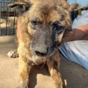 PERCI - ausgereist zum TH Gelnhausen