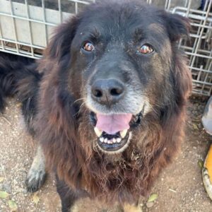 BRUDER GRIMM - reserviert Manuela vermittelt