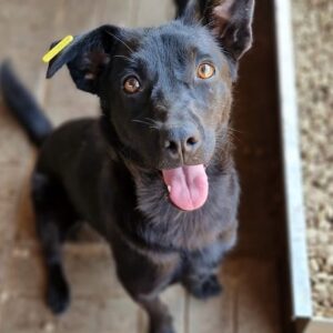 MONKEY - ausgereist zum TH Limburg