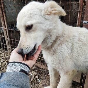 LUVEE - vermisst 07/2023