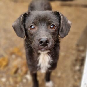 JONAH - vor Ort vermittelt 06/23