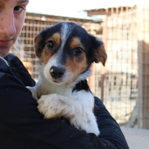 FIPS - reserviert TH Wannigsmühle vermittelt