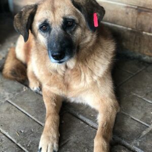 MINU - reserviert TH Burgdorf vermittelt