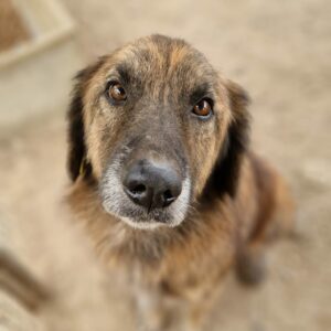 RAYNEE - vermisst 11/2022