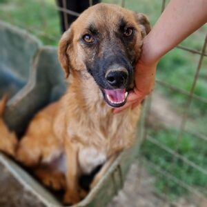 JOHANNE - vermittelt Alexandra