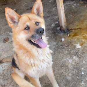 MARINOCO - reserviert TH Wannigsmühle vermittelt