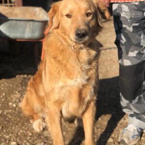 LONLY - reserviert Manuela - vermittelt