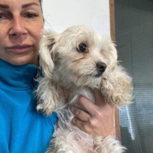 TRISHKA - reserviert TST Rösrath vermittelt