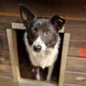 AKI - vermisst 12/24