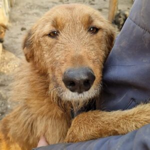 MALENTO - reserviert TH Filderstadt vermittelt