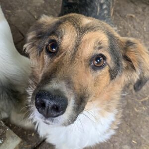 LILO - reserviert TST Rösrath - vermittelt