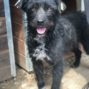 LALA - reserviert TH Wanningsmühle vermittelt