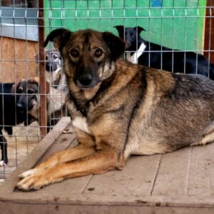 MAKENA - reserviert TH Iserlohn - vermittelt