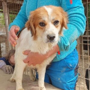 SHANTY - vermittelt Alexandra