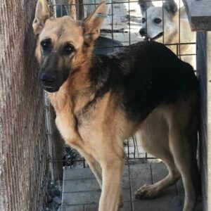 BRENDA - Notfall - auf PDR PS im PLZ Bezirk 76 - vermittelt