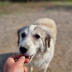 MAVI - vermisst 09/23