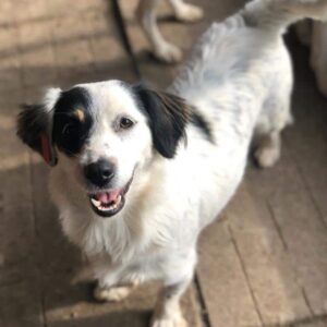 IMARA - reserviert Kathleen Müller - vermittelt