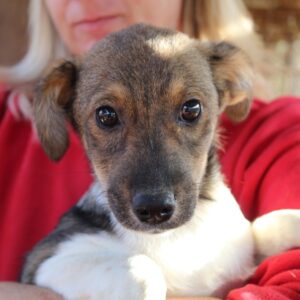 KISSME - reserviert TH Limburg - vermittelt