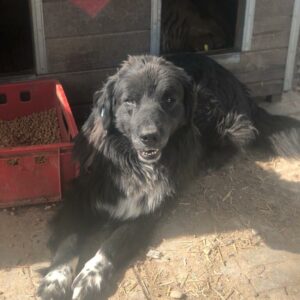 FRIEDEL - vermisst 04/2023