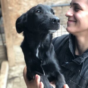 TRISH - reserviert TST Rösrath vermittelt