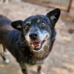 EMBER - ausgereist zum TH Limburg