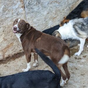 ULFI - reserviert TH Iserlohn 27.09 vermittelt