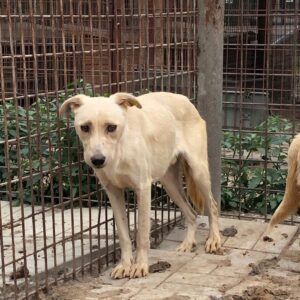 RUBIO - vermisst 11/24