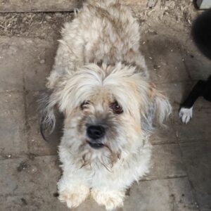 TIKA - reserviert JW vermittelt