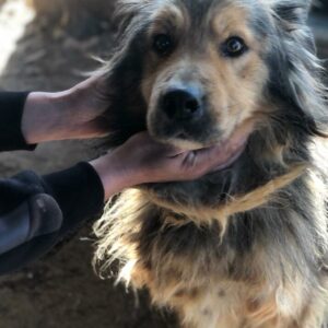 AIDAN - vermisst 04/2023