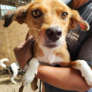 UHURA - reserviert TST Rösrath 26.9 vermittelt