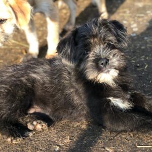 FIBY - reserviert PVA vermitteltvermittelt