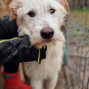 XAVERL - vermittelt Manuela