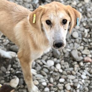 KAREN - vermisst 11/23