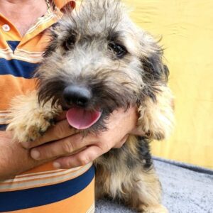 FUNA - vermittelt MD