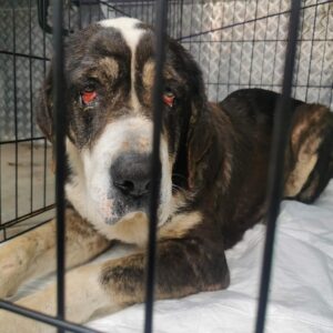 MATILDE - reserviert Manuela vermittelt