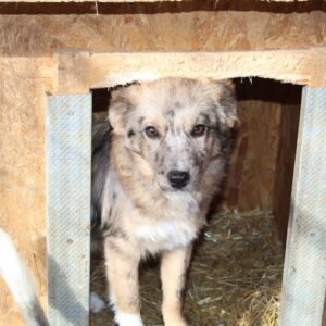 ZEBA - reserviert IH DR 31.10. - vermittelt