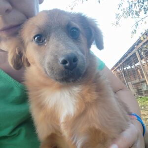 GINA - reserviert TH Limburg vermittelt