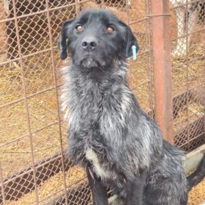 VALINA - sehr dünn - reserviert Manuela - vermittelt