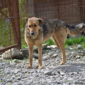 SUNNY-TST - reserviert Rösrath vermittelt