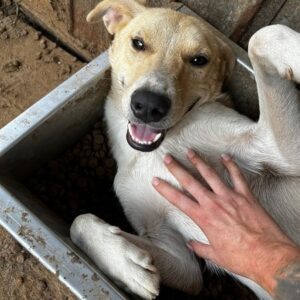 BURRITO - vor Ort vermittelt 09/23